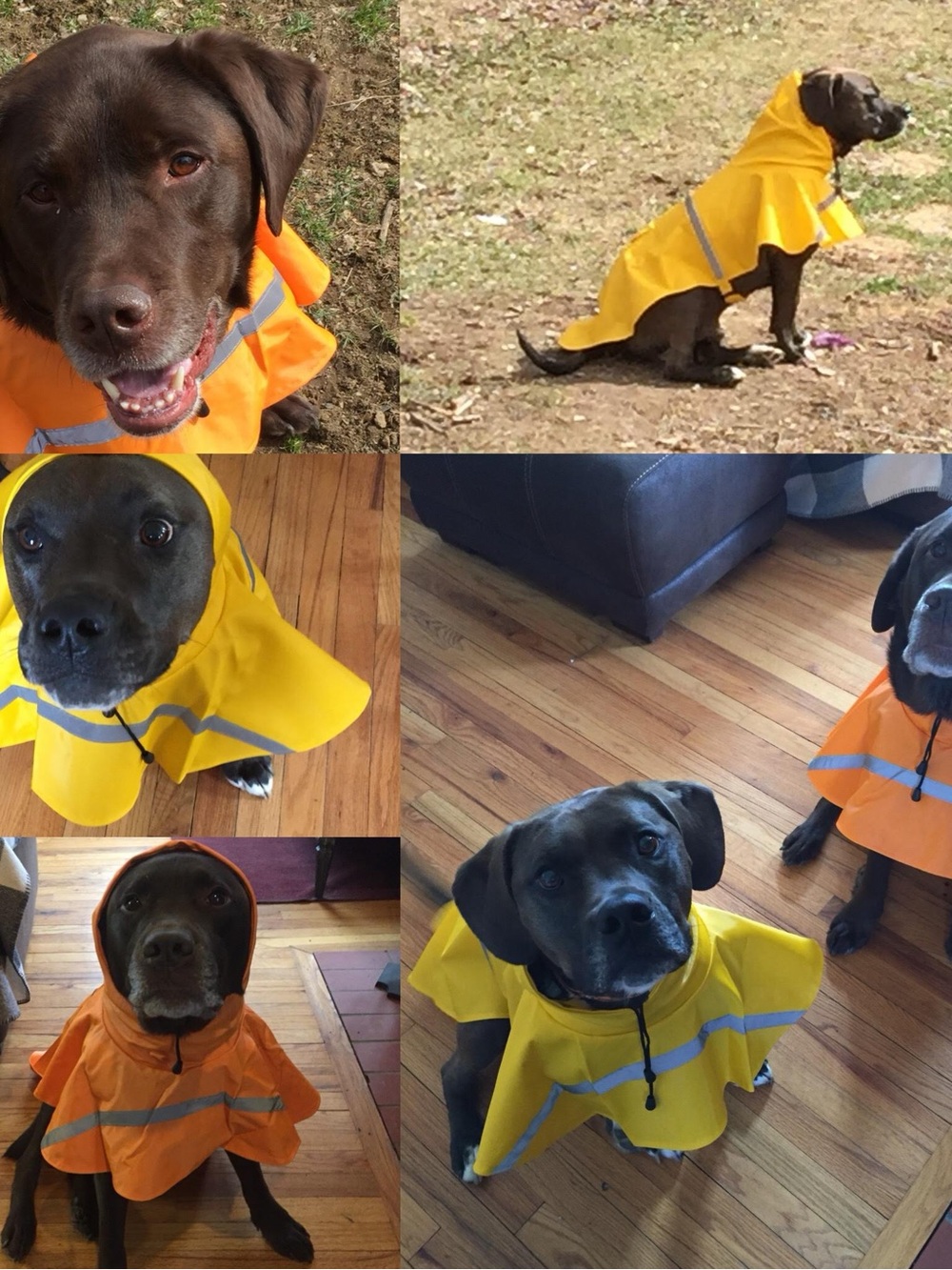 Waterproof Yellow Dog Rain Poncho with Reflective Trim -
